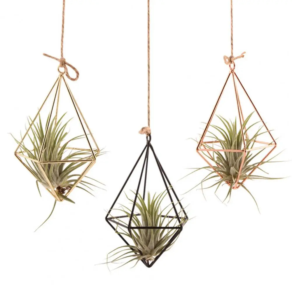 🌿 Modern Geometric Metal Air Plant Holder (Hanging or Desktop) ✨