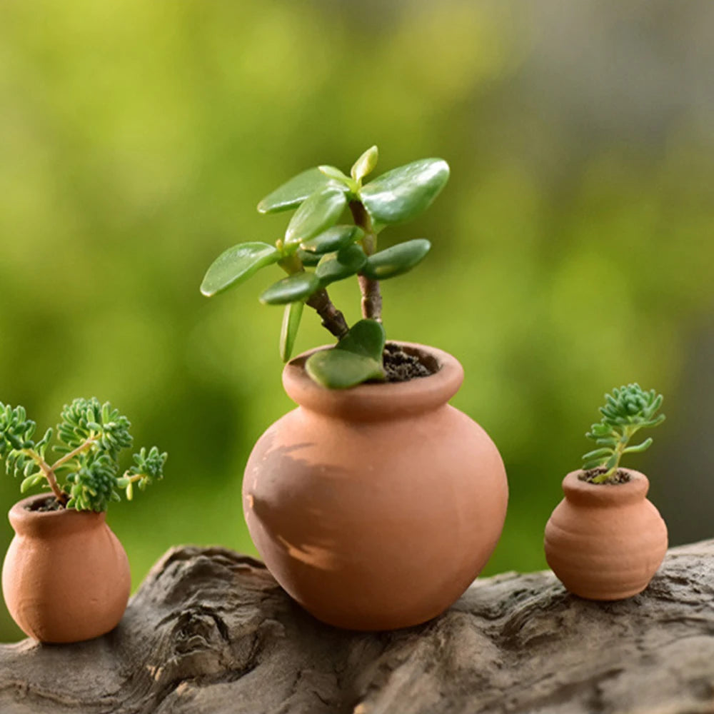 Mini Terracotta Clay Ceramic Planter