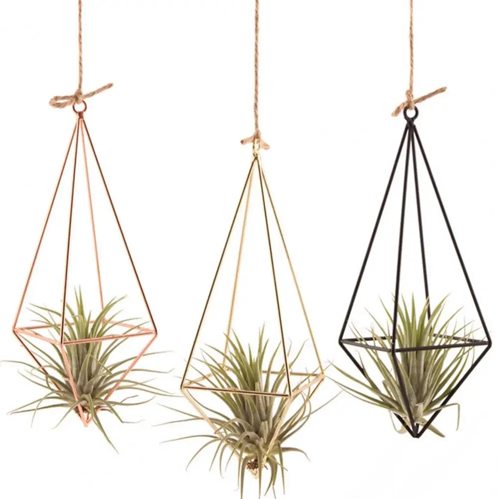 🌿 Modern Geometric Metal Air Plant Holder (Hanging or Desktop) ✨