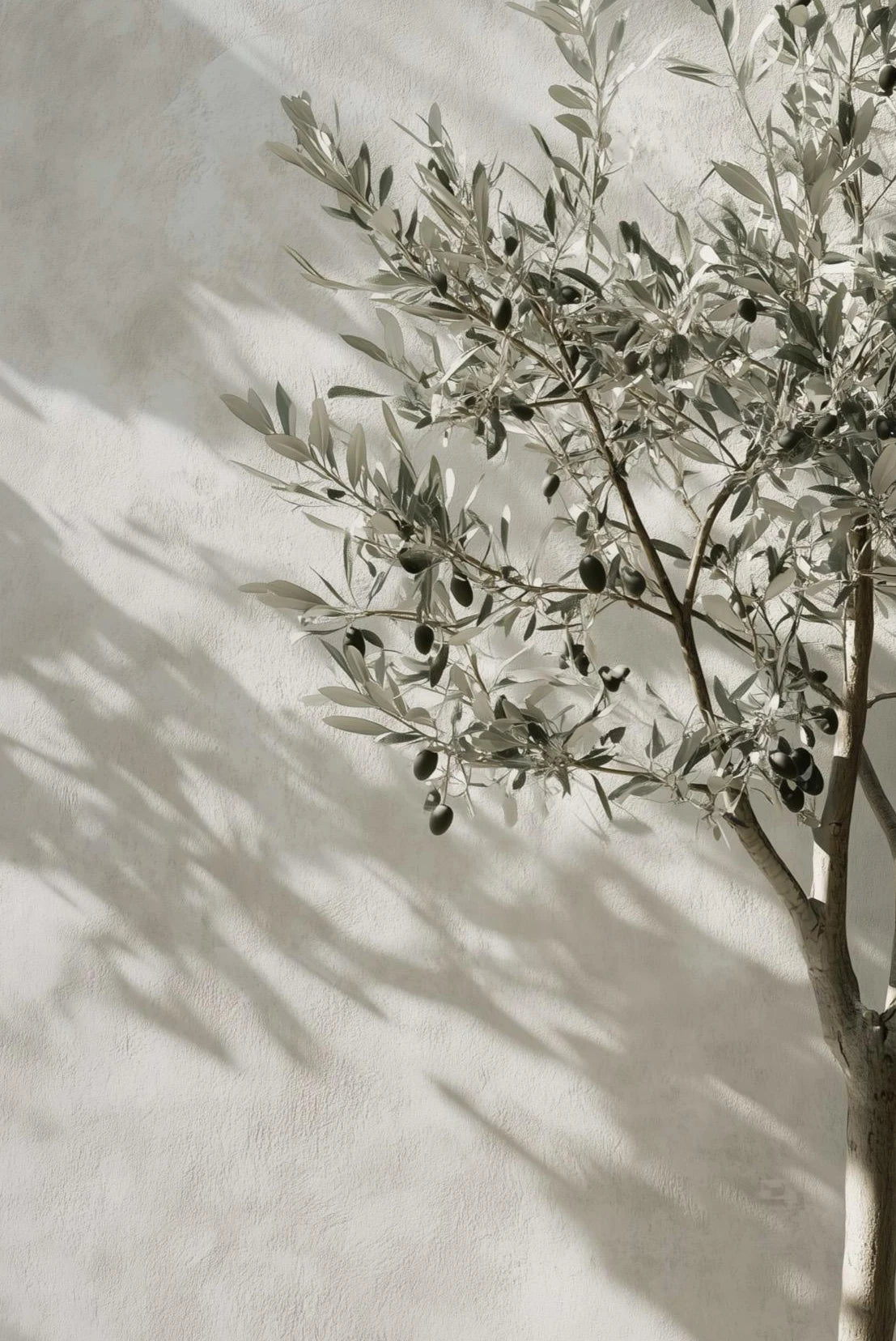 Retro Mediterranean Landscape Canvas – Greek  Lemon, Orange & Olive Tree Wall Art