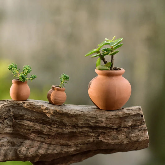 Mini Terracotta Clay Ceramic Planter