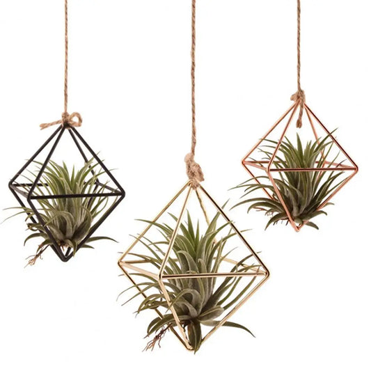 🌿 Modern Geometric Metal Air Plant Holder (Hanging or Desktop) ✨