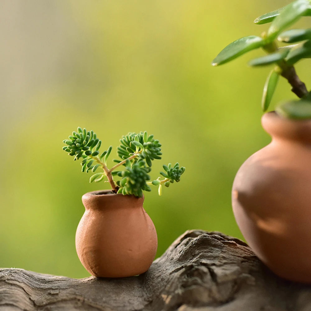 Mini Terracotta Clay Ceramic Planter