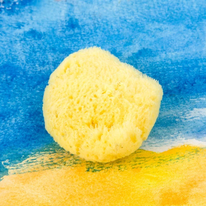 Natural Greek Sea Sponge for Watercolor Painting – Absorbent Texture Tool for Artists & Cleaning