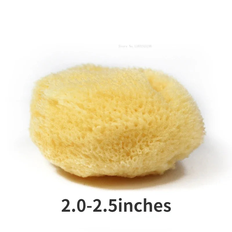 Natural Greek Sea Sponge for Watercolor Painting – Absorbent Texture Tool for Artists & Cleaning