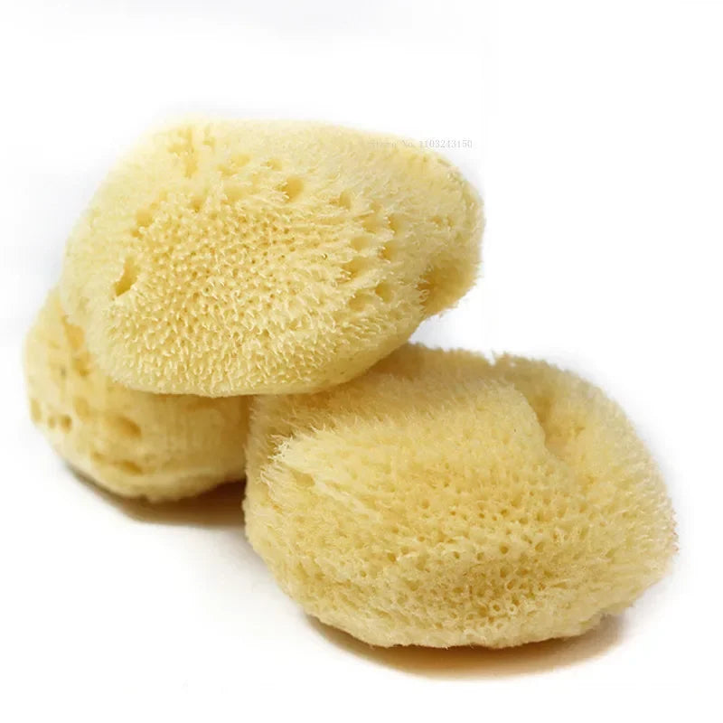 Natural Greek Sea Sponge for Watercolor Painting – Absorbent Texture Tool for Artists & Cleaning