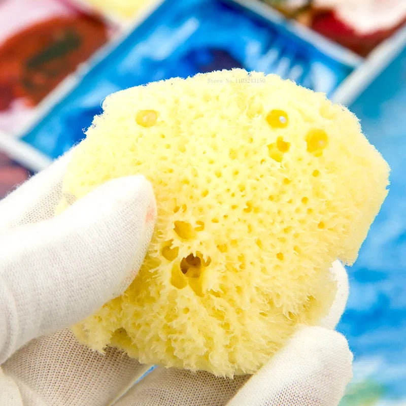 Natural Greek Sea Sponge for Watercolor Painting – Absorbent Texture Tool for Artists & Cleaning