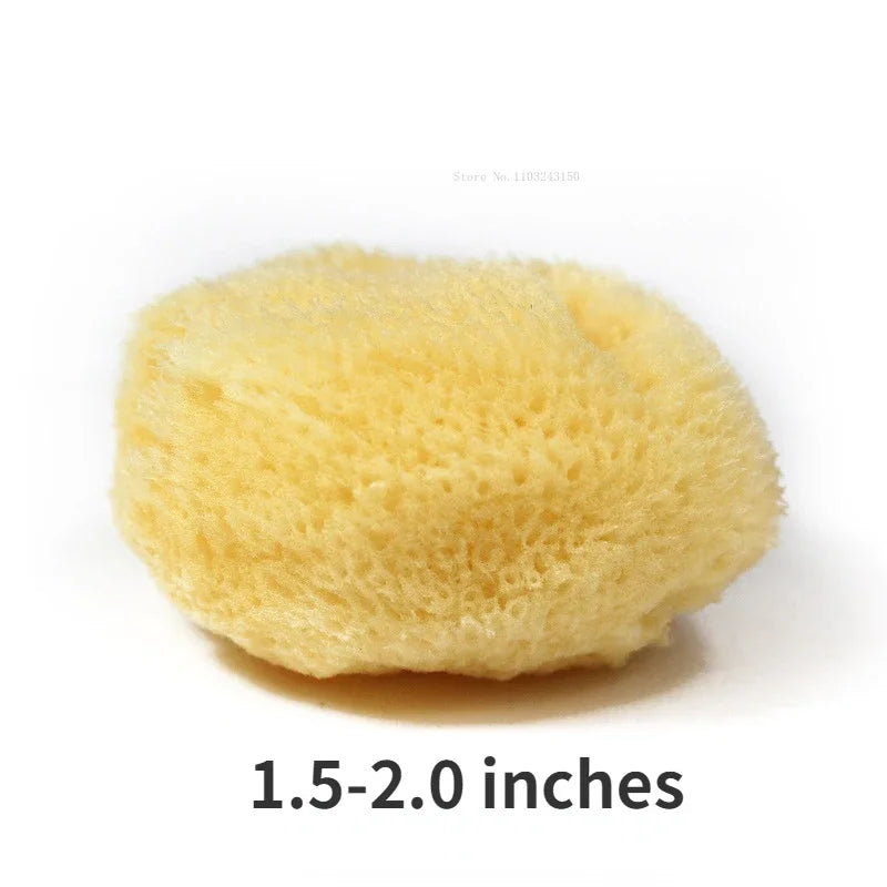 Natural Greek Sea Sponge for Watercolor Painting – Absorbent Texture Tool for Artists & Cleaning